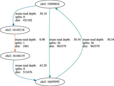 Detection and Validation of Circular DNA Fragments Using Nanopore Sequencing